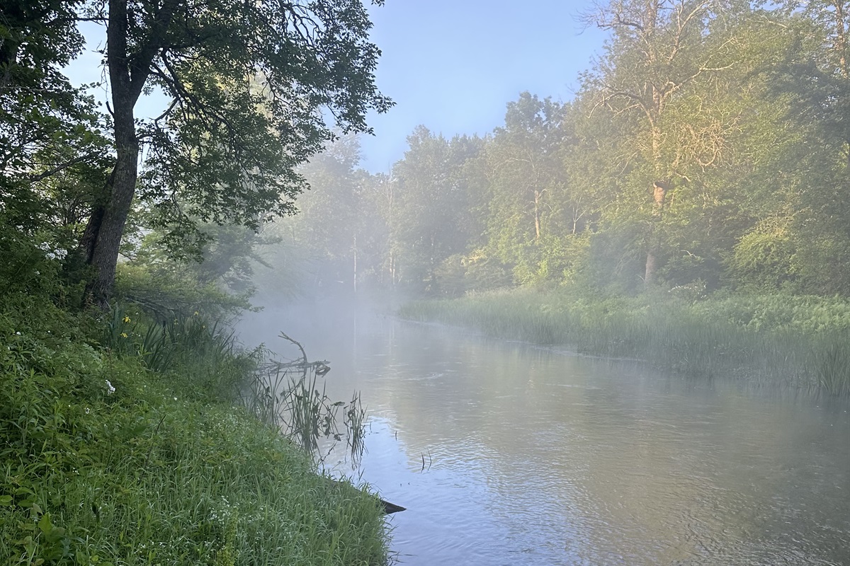 Oaks Creek