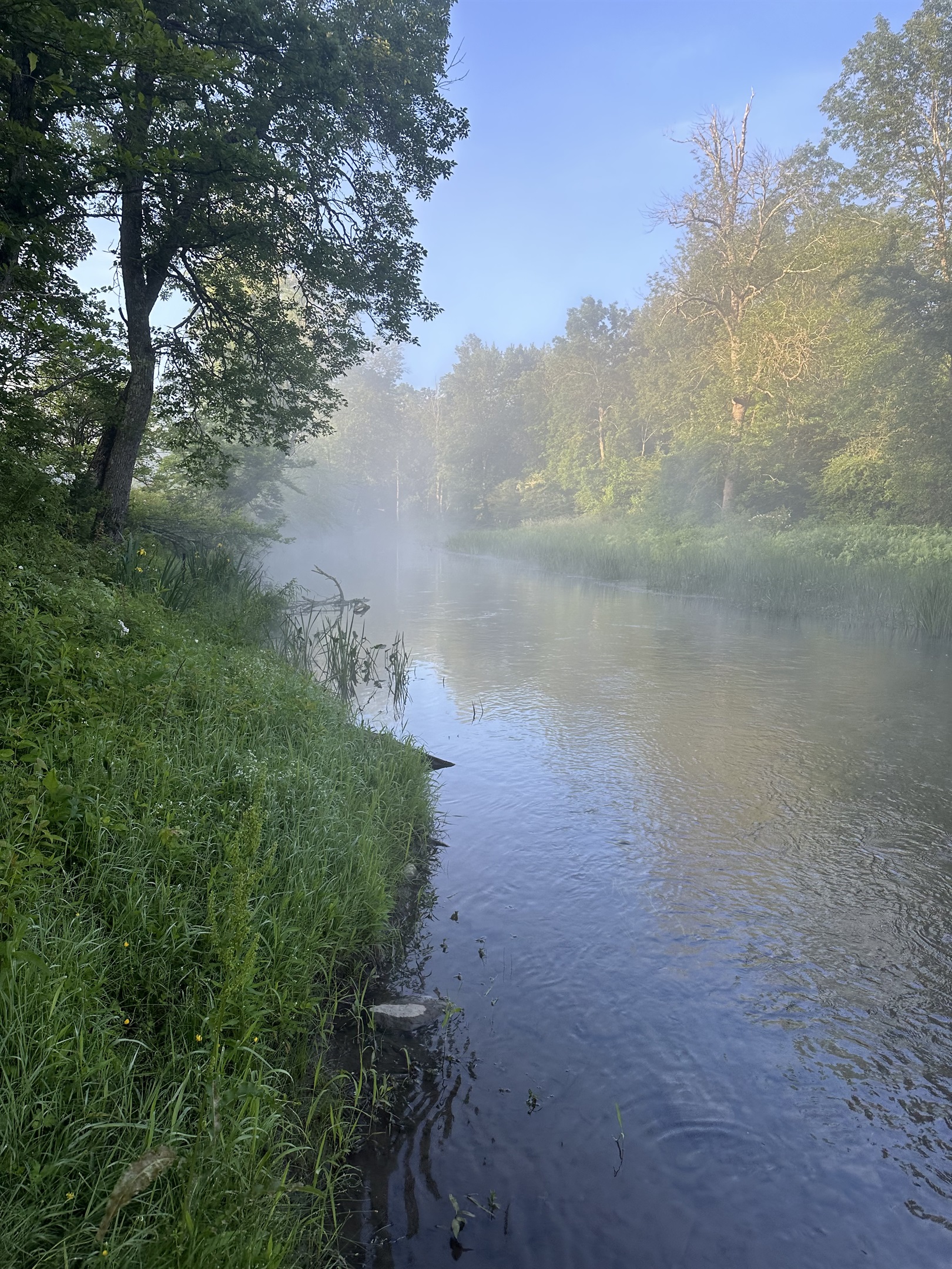 Oaks Creek