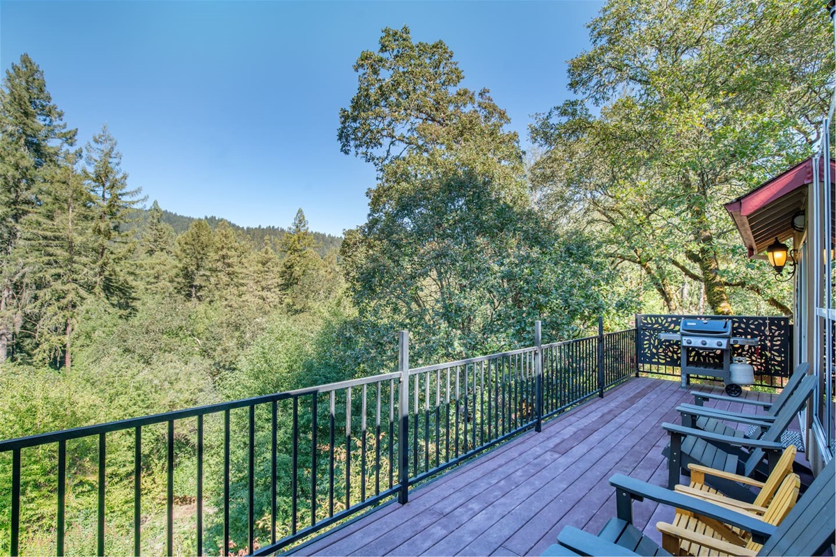 Adirondack chairs with stunning forest views - experience nature's embrace!