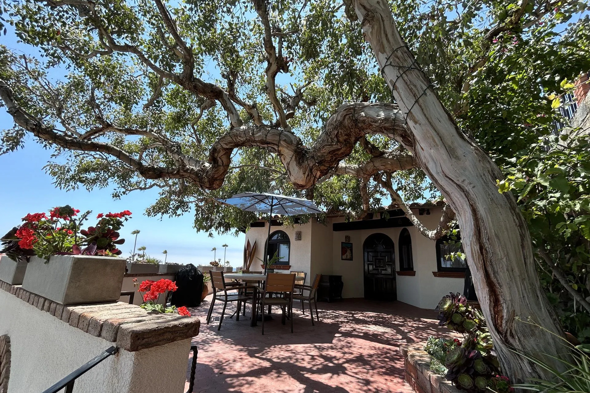 Entrance Courtyard