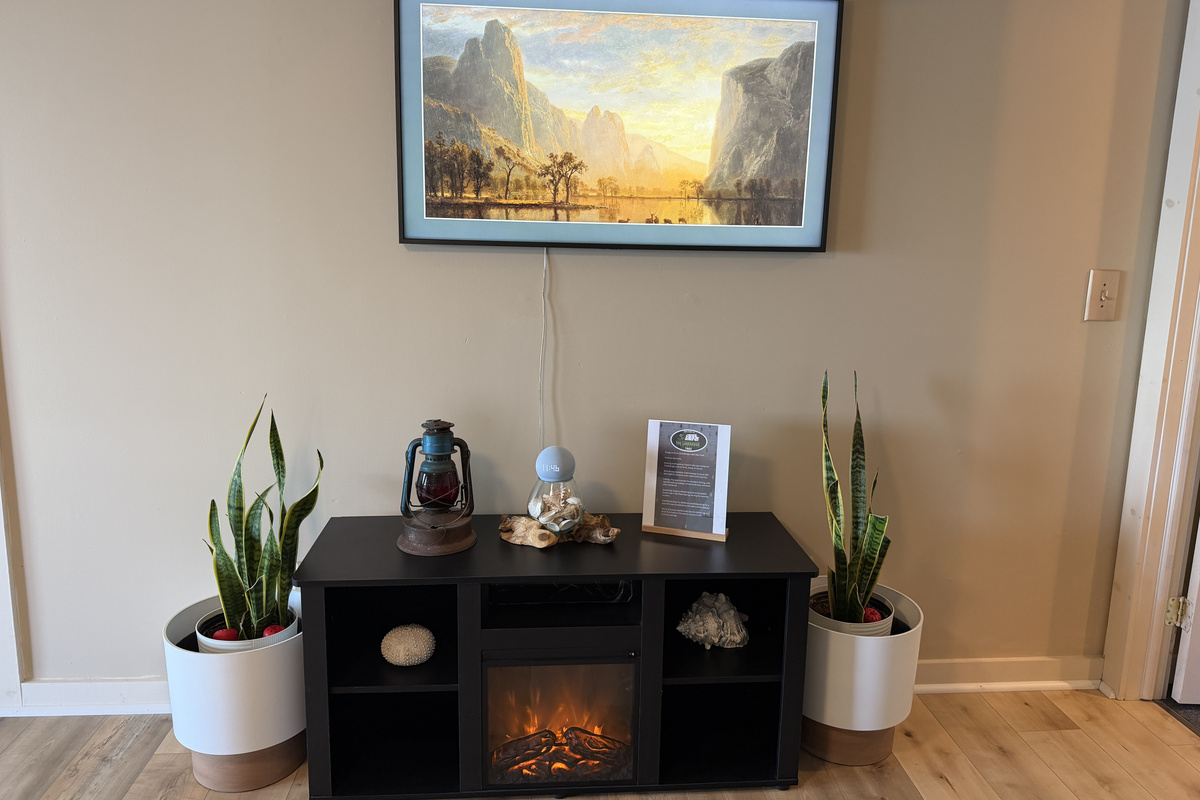 Den with Samsung FrameTV