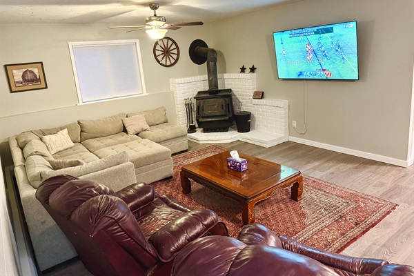 Large 65" LG OLED TV