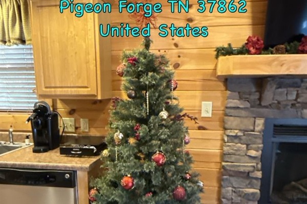 Cozy holiday vibes with our beautifully decorated Christmas tree