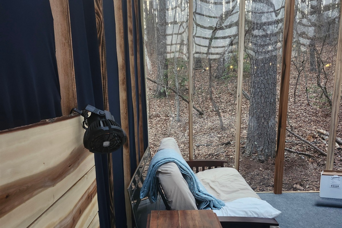 View of forest from back corner of Stargazer