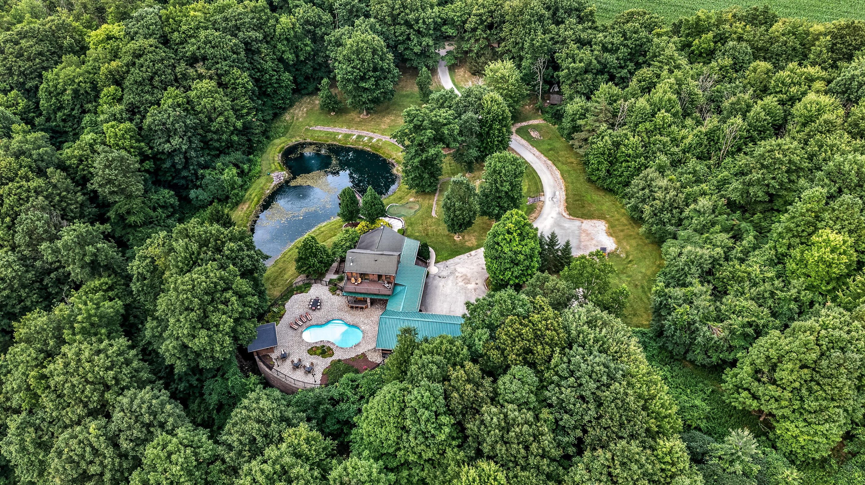 House and pond surrounded by trees