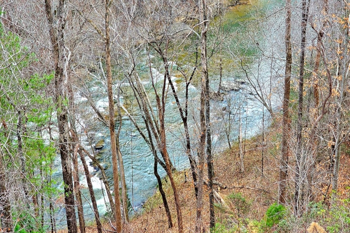 Lower deck view