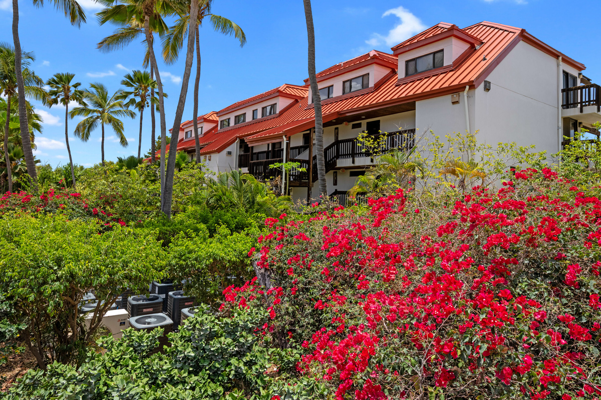 Beautifully maintained resort grounds surrounded by lush tropical landscaping.