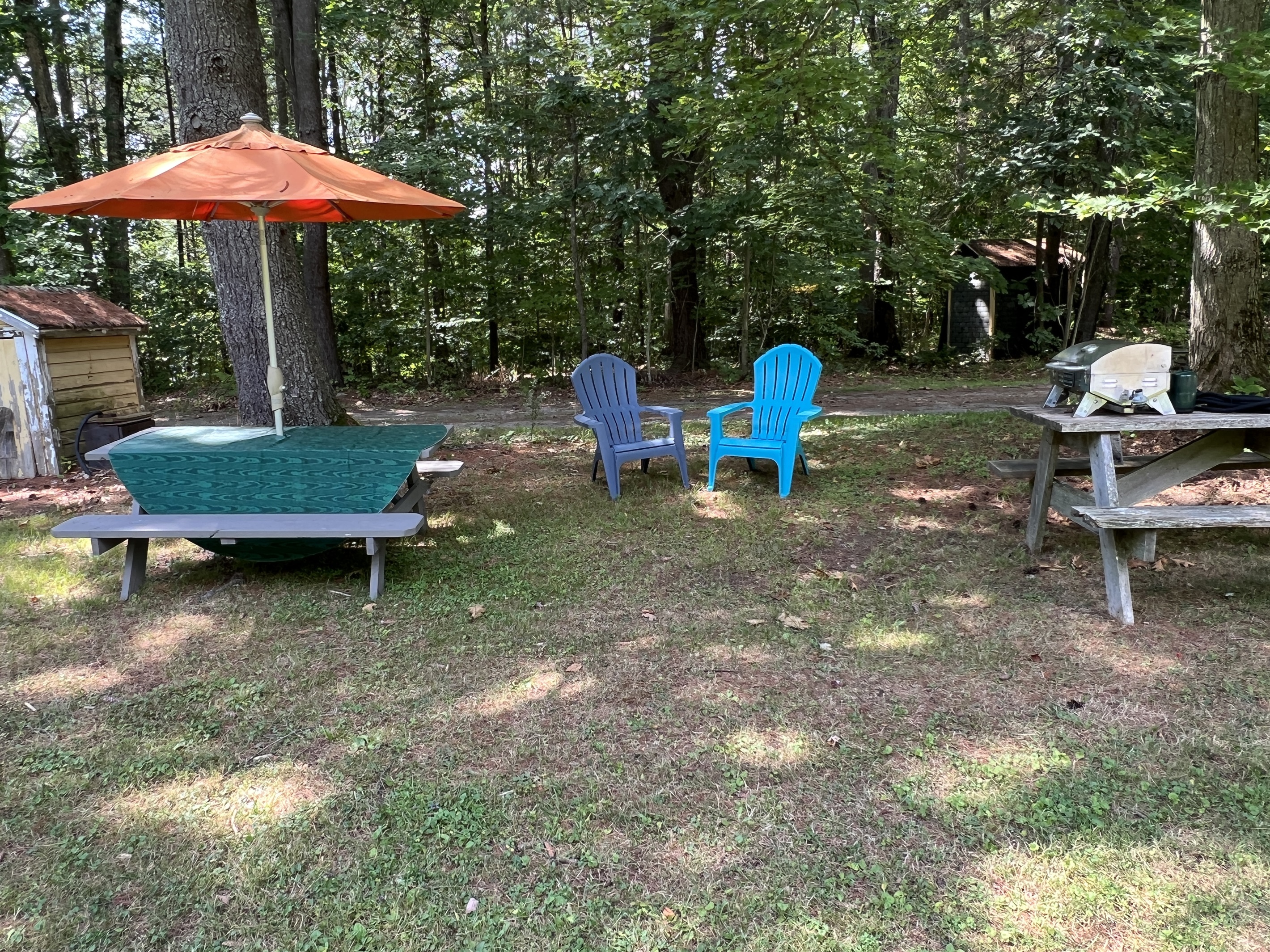 Shared outdoor dining area