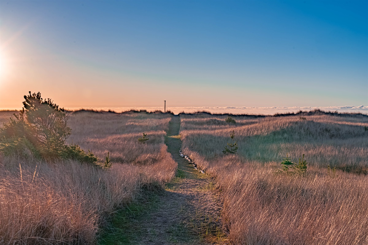 Neighborhood trail to the beach.  Guests of Dune Crest Beach House are welcome to use this trail during their stay.