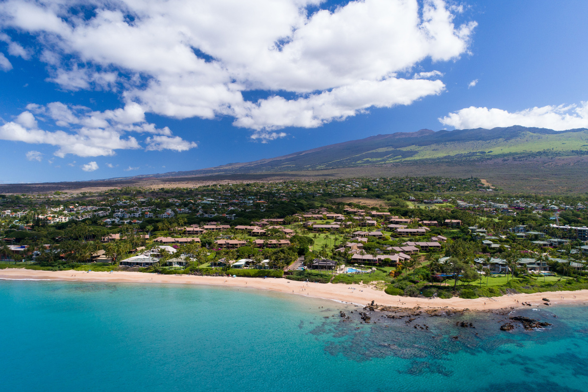 A great snorkel reef is right out your doorstep. 