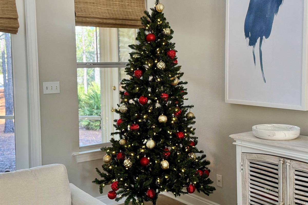 Christmas Tree for Holidays