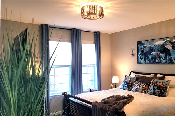 the Azure Elephant Haven