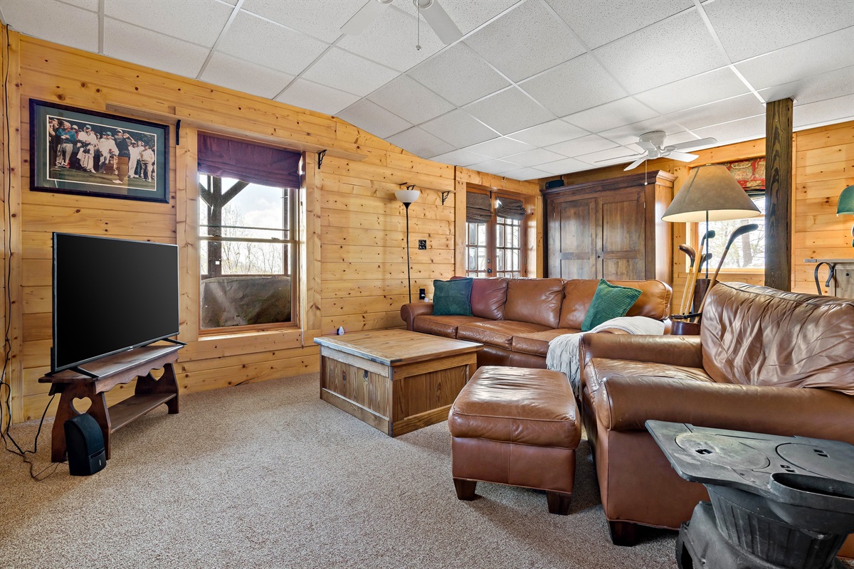 Lower level living room