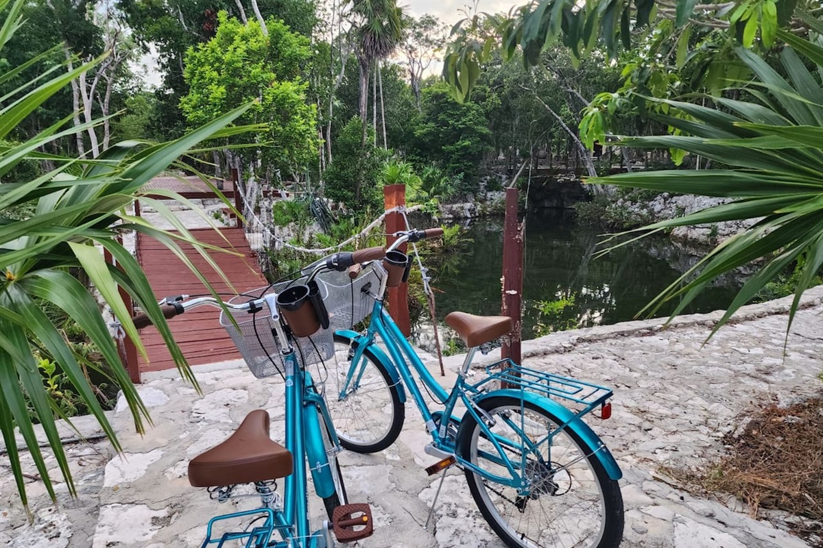 3 Bikes are available free of charge when booked for more than five nights. $50 per stay