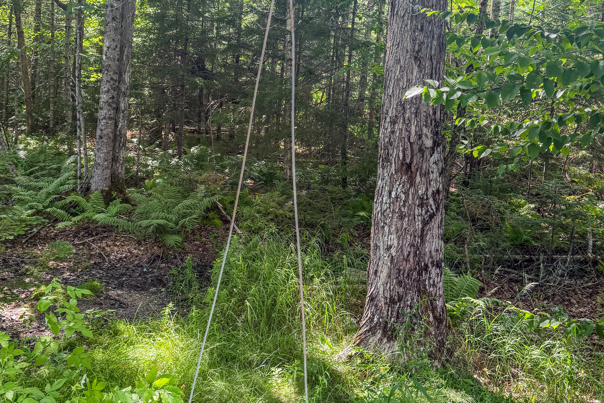 Detail view shows the heavy-duty clip on the overhead dog tether run system. This pet-friendly amenity features a smooth-gliding trolley slider block mounted on the aerial cable line, keeping your dog secure while exploring the backyard lawn.