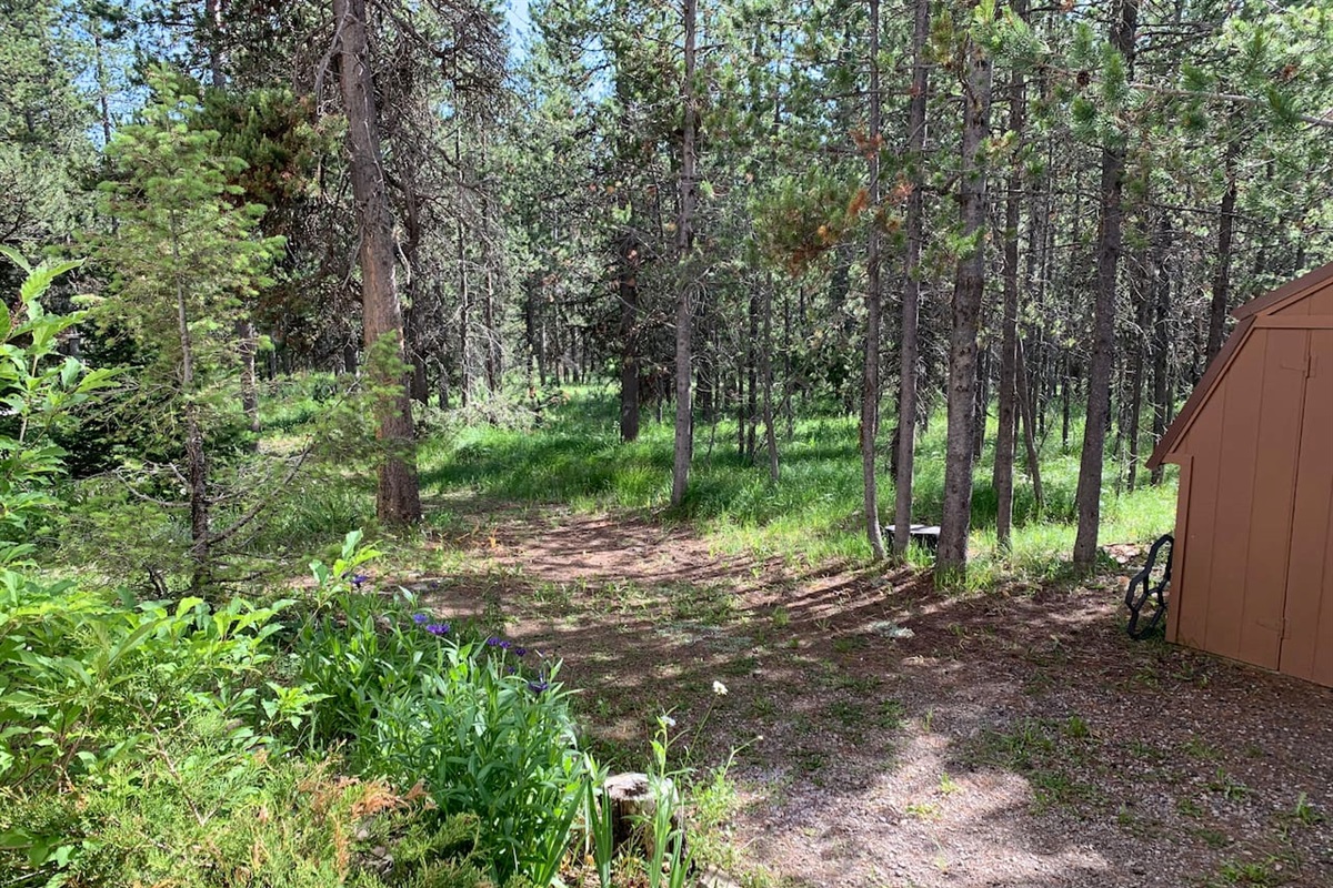 1 Acre Private Surrounding Forest Area