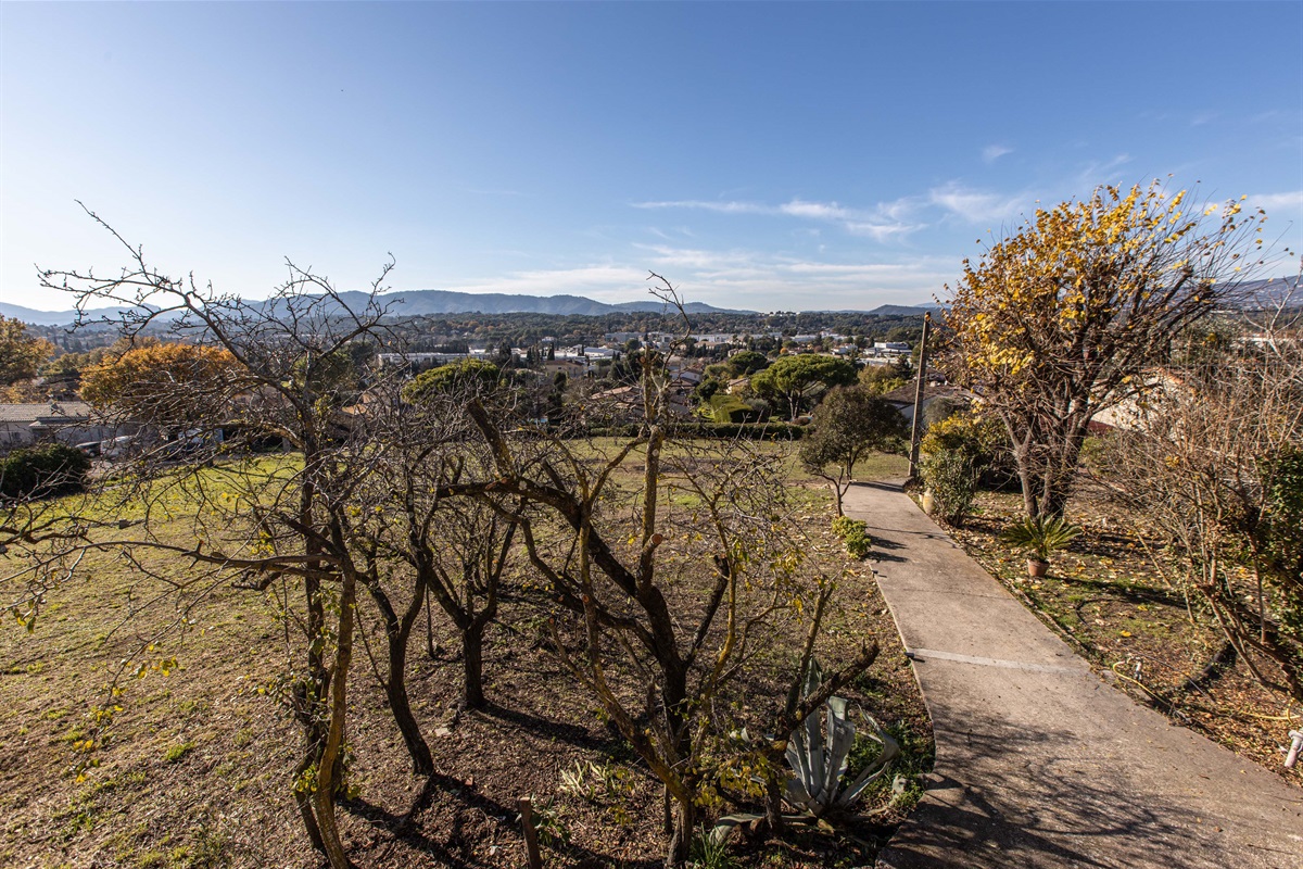 Garden/Mountain View