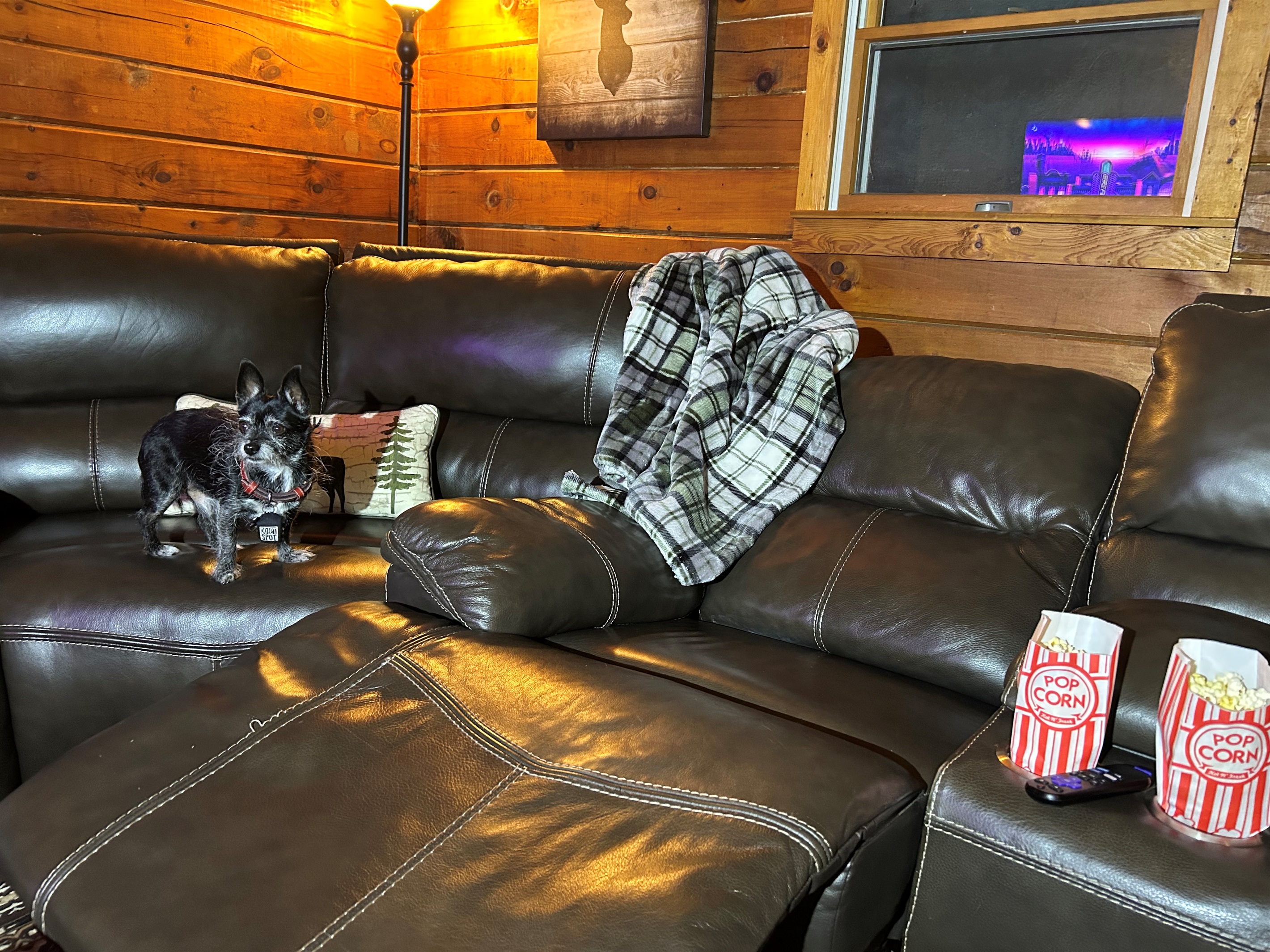 Relax on a recliner while watching a movie and eating some popcorn. Our dogs love and recommend the popcorn.