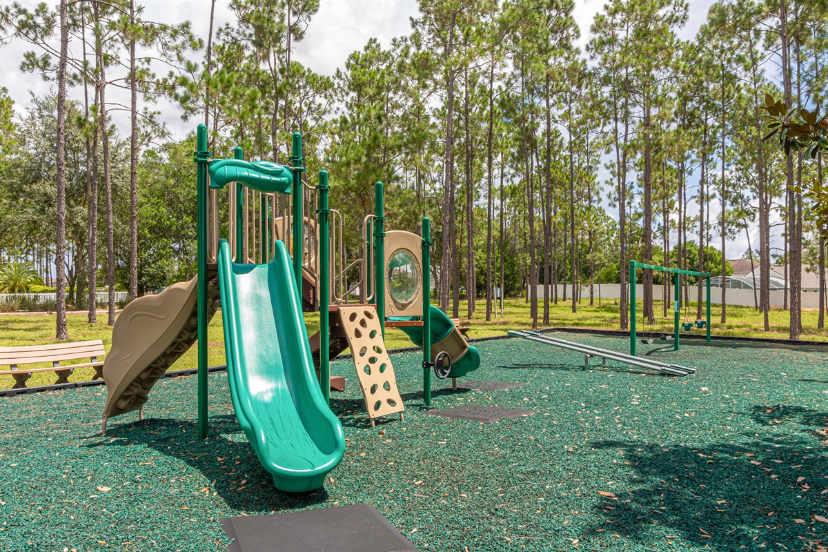 The playground in the community.