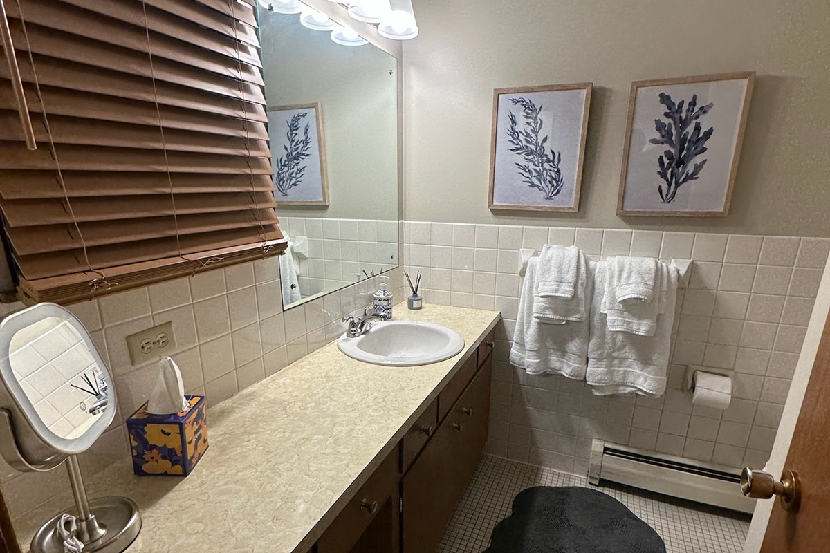 Master Bathroom w/Shower