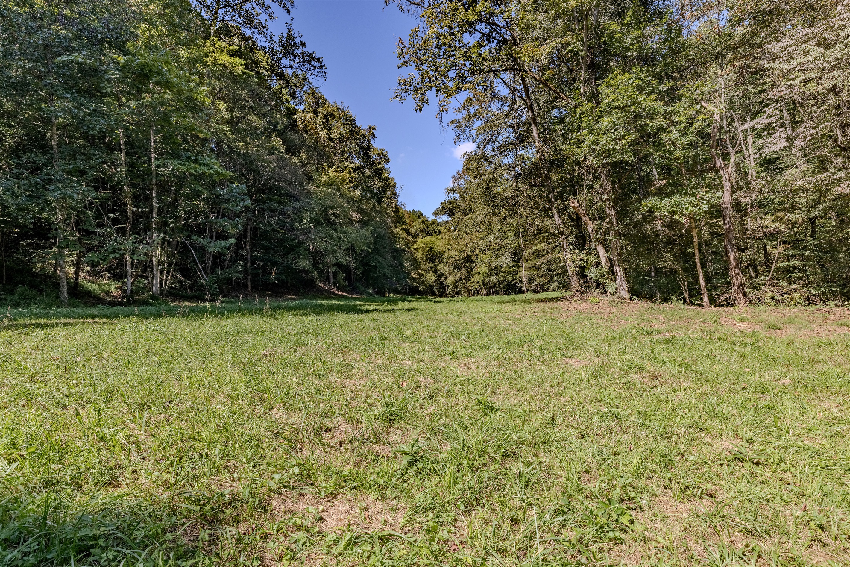 Find the peace of the woods. The dense tree line provides a stunning, natural boundary for our glamping village, ensuring your stay is quiet, private, and immersed in tranquility.