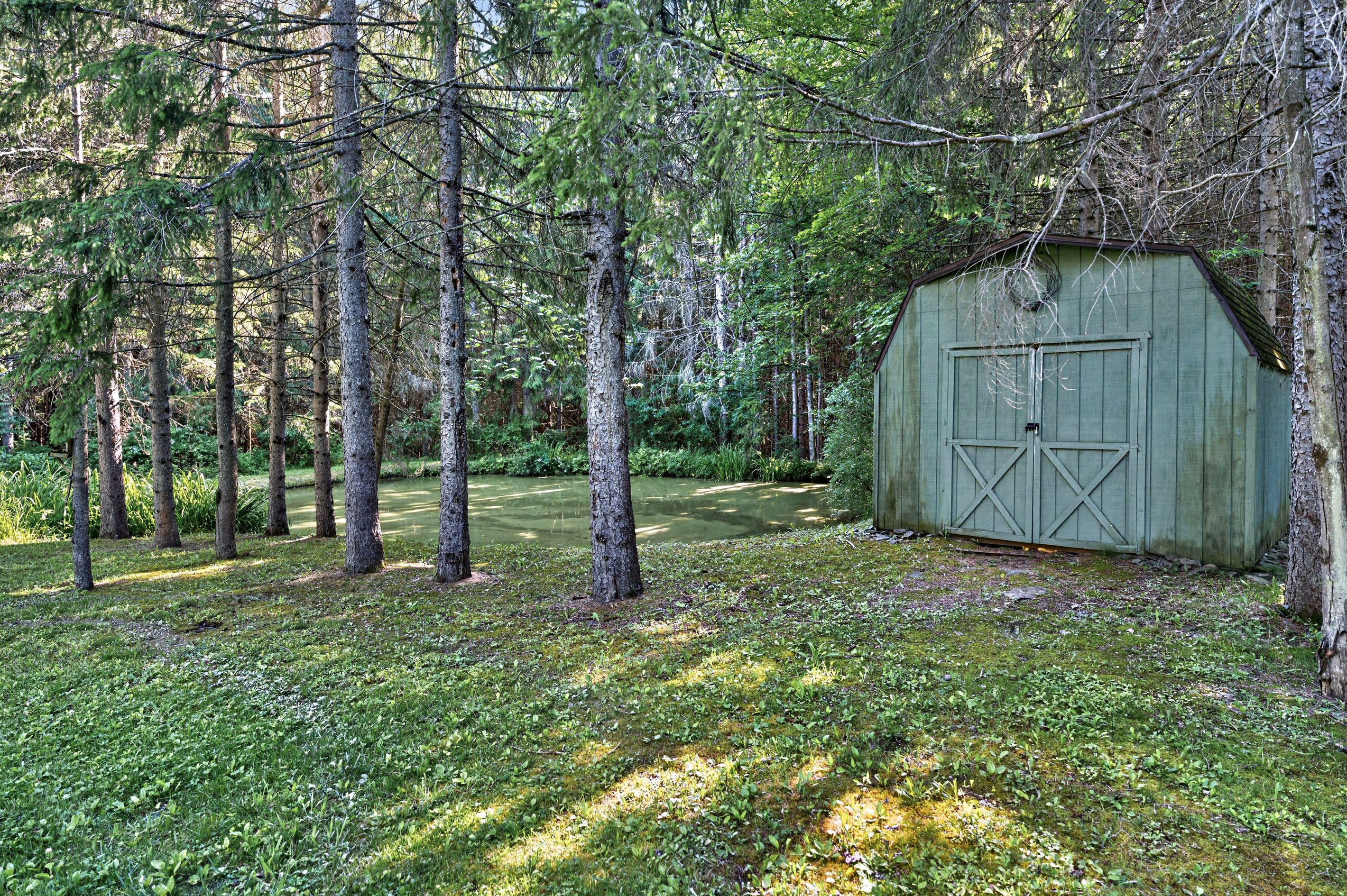 Storage shed at the forest edge