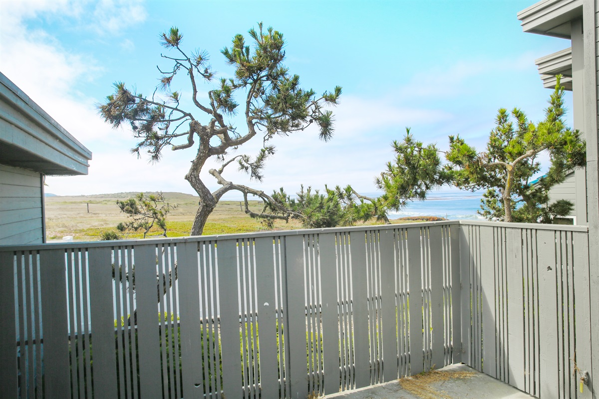 Common patios in the complex