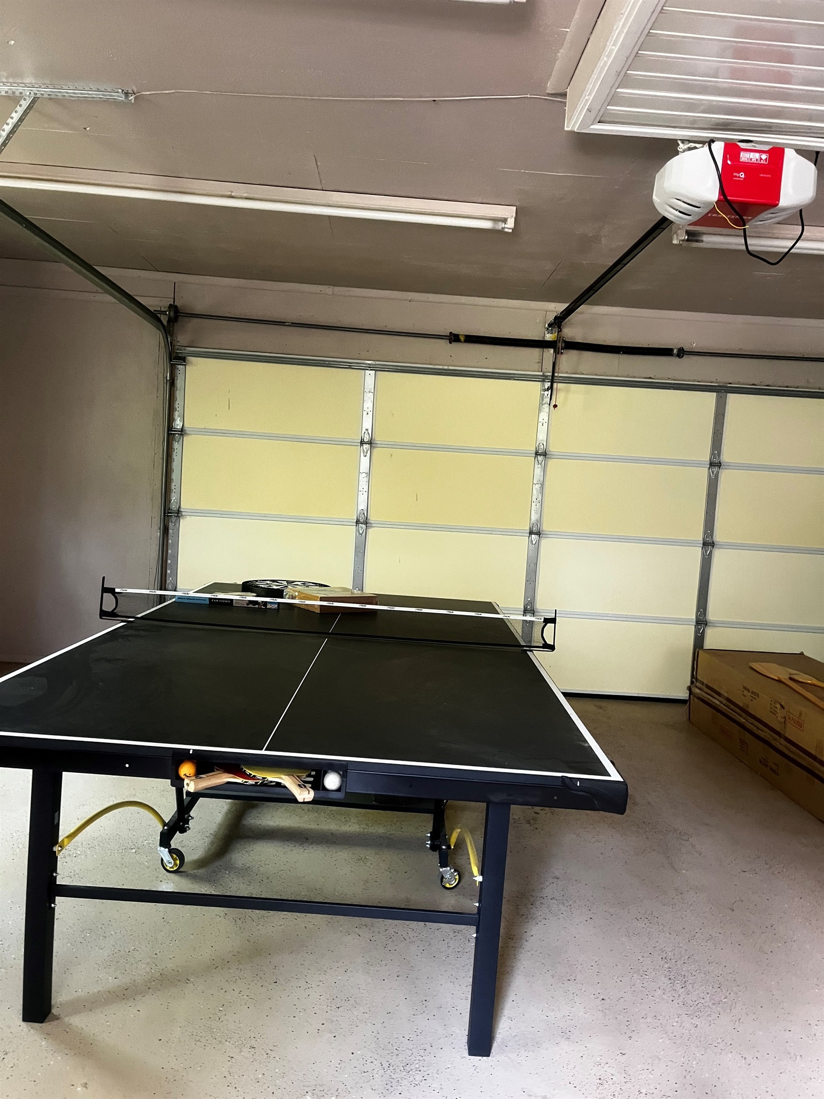 Ping Pong Table
