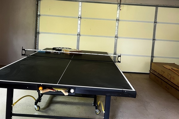 Ping Pong Table
