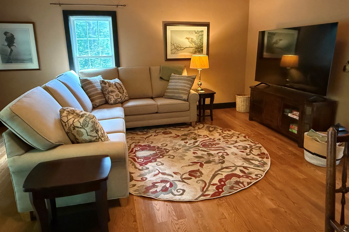 Media Area in Bonus Room over Garage