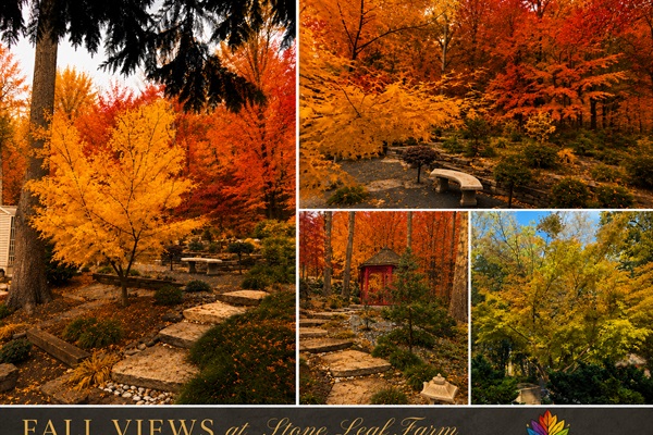 Stone Leaf Farm autumn retreat views.