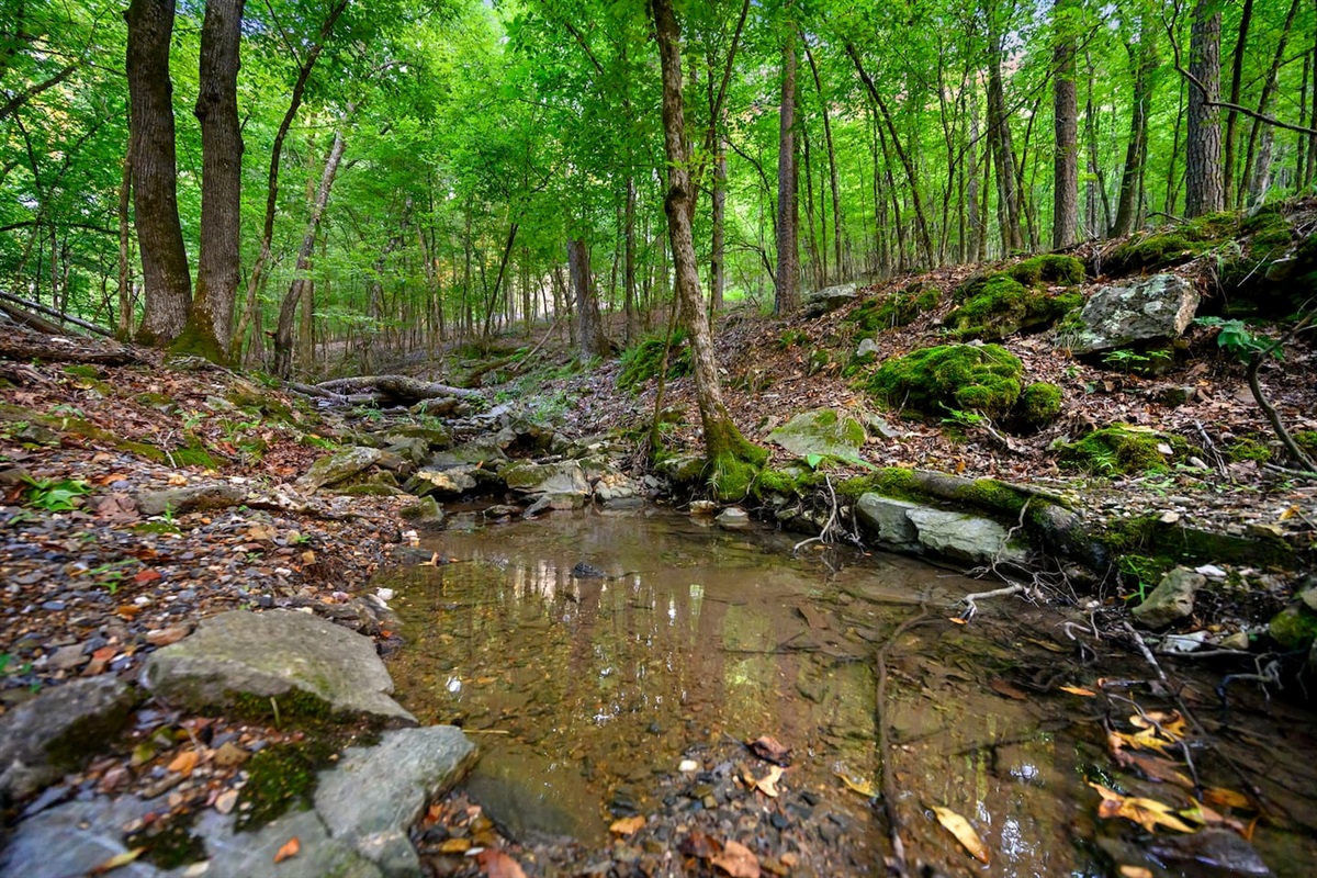 Creek is just down a private pathway, steps from the fire pit area.  Definitely worth checking out and exploring.