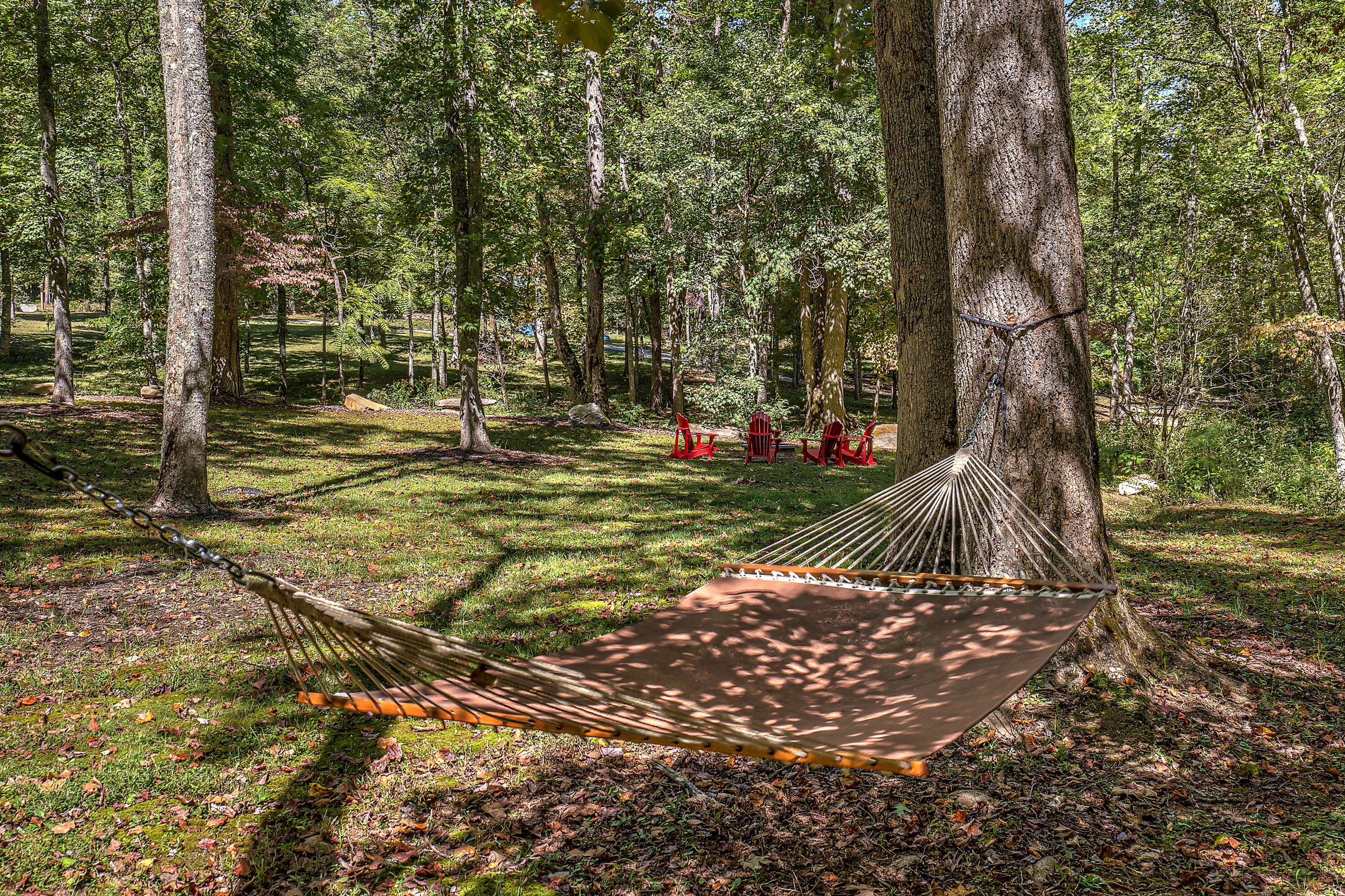 Relax in the hammock and listen to the creek.