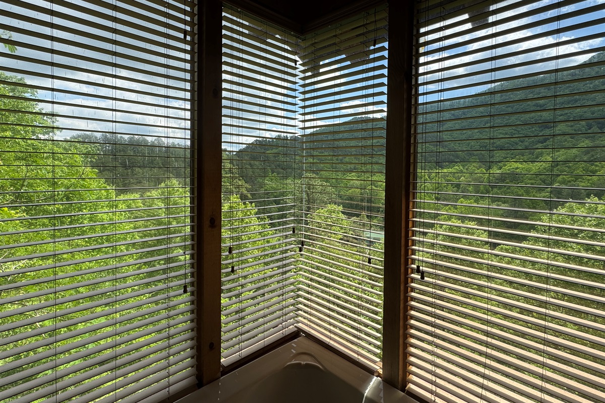 Papa bear room views. Dramatic corner windows.