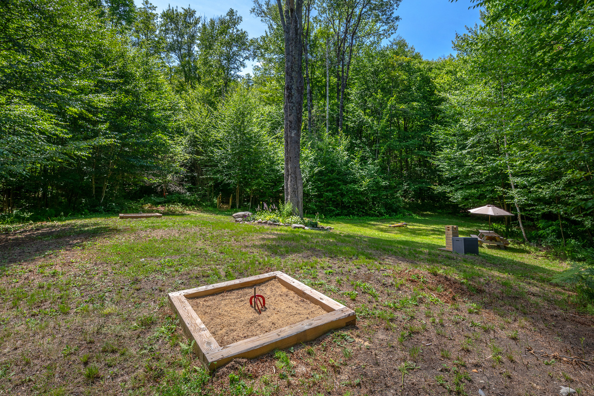 Outdoor game area with picnic table + Horseshoe