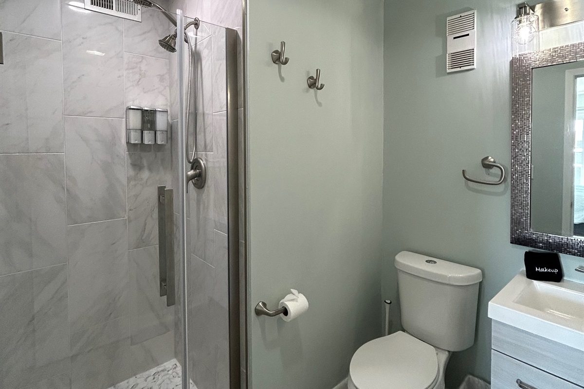 Ensuite Master Bathroom with newly renovated Shower