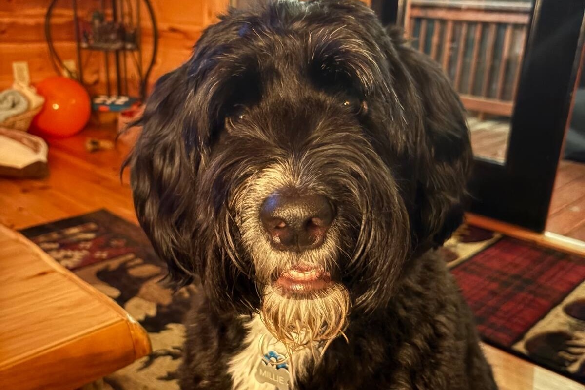 Me being my most handsome at Cozy Escape Cabin