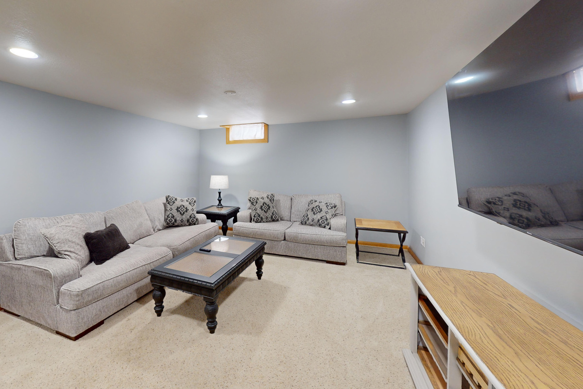 Basement living room