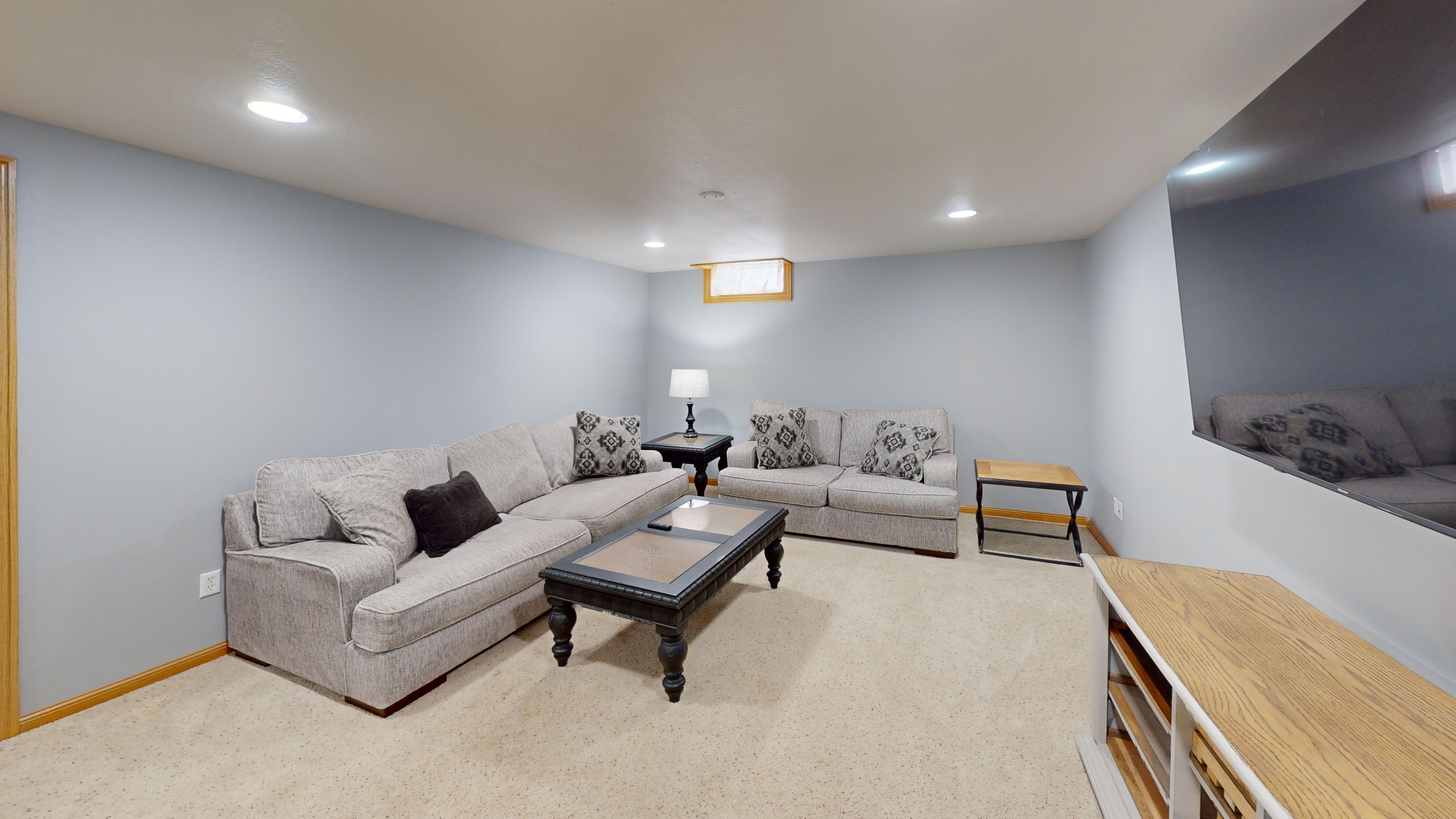 Basement living room