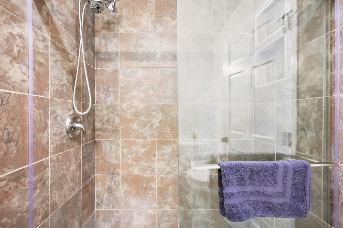 Primary Shower