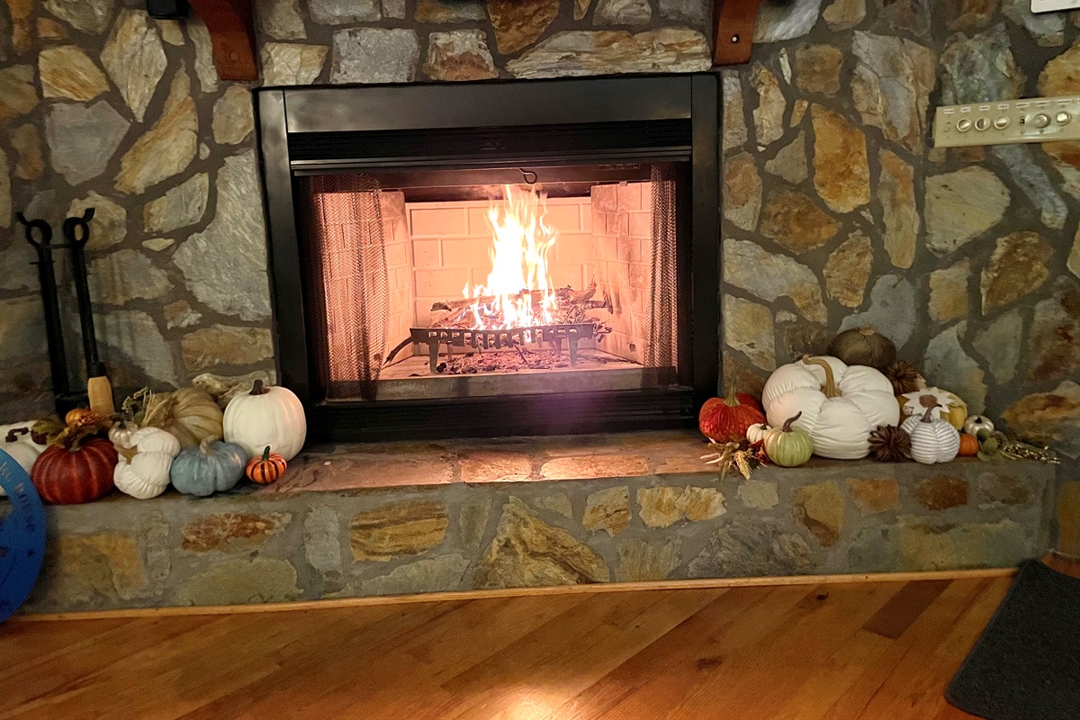Wood Burning Fireplace