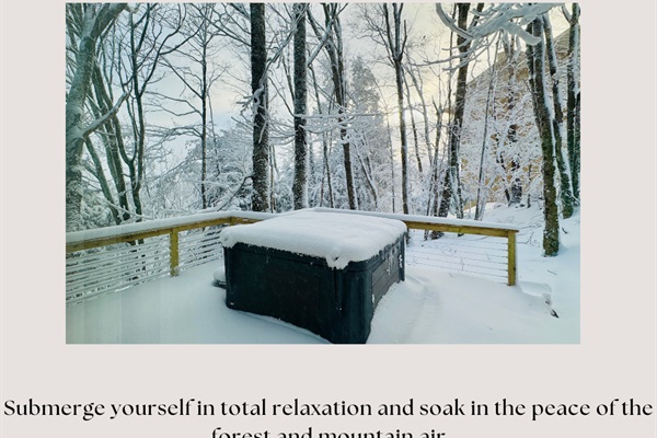 Relax in the hot tub, nestled in a scenic forest.  Enjoy the mountain air.  Access via the side deck off the game/laundry room, on the middle level.