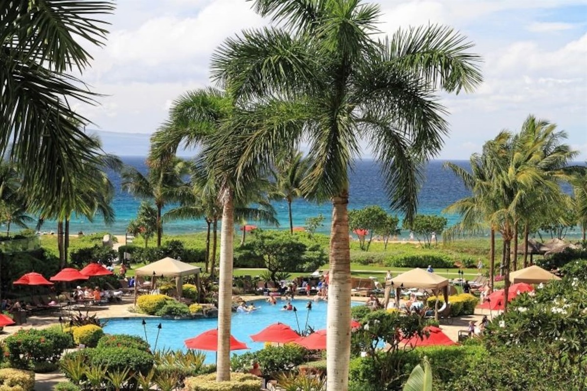 Beautiful pools and grounds