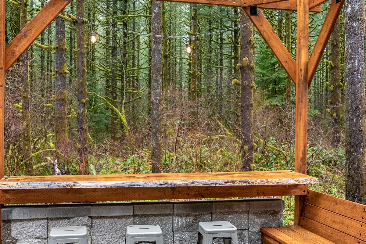 Bar looking deep into the woods