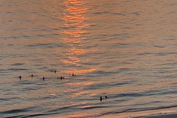 Nothing beats the feeling of Florida sunsets! 