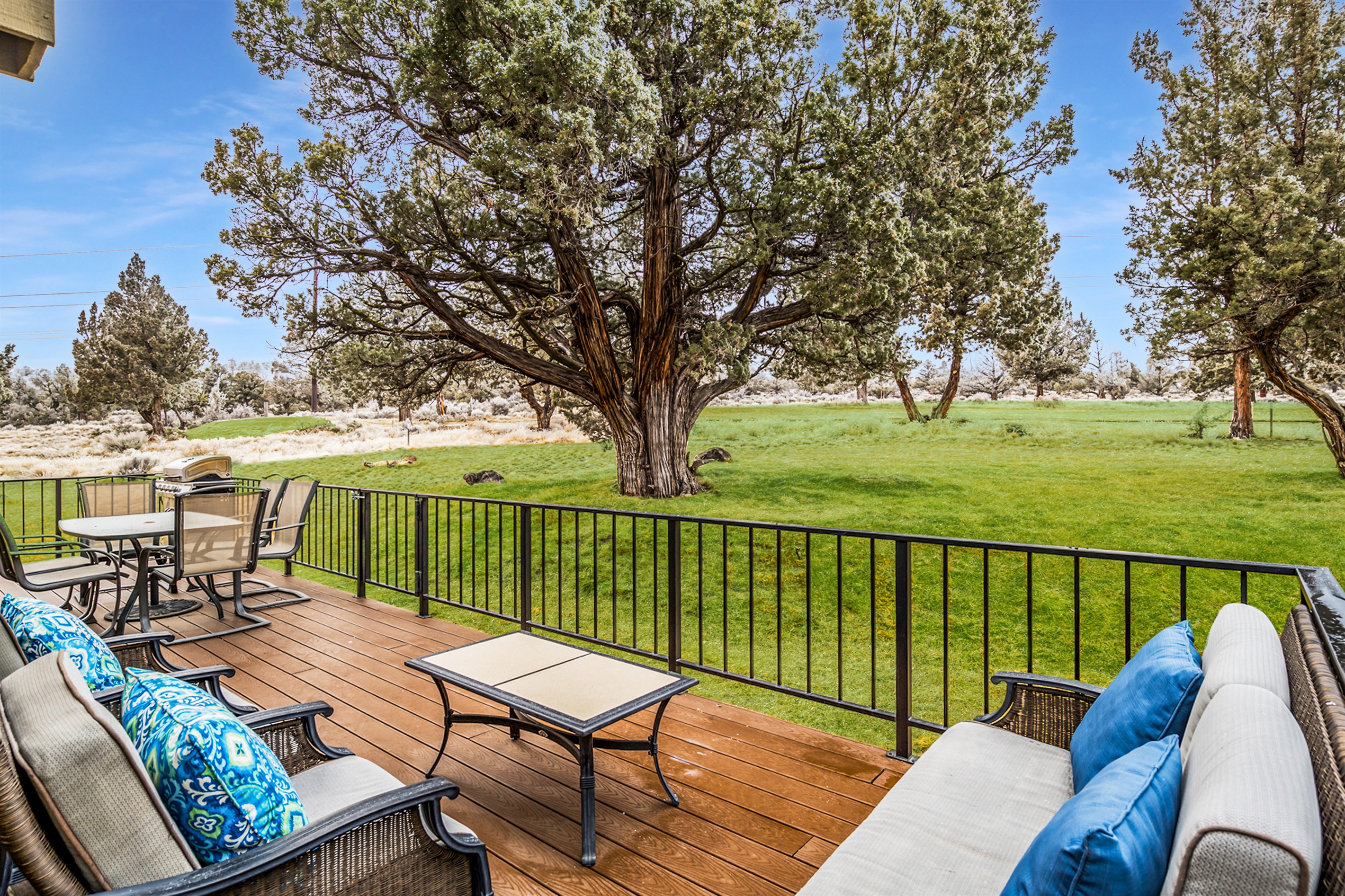 Scenery from the back deck