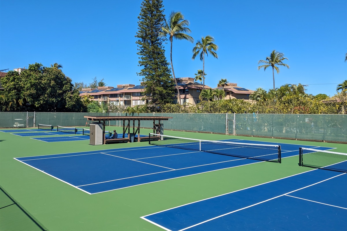 3 pickleball and 2 tennis courts (signup and key code in front office)
