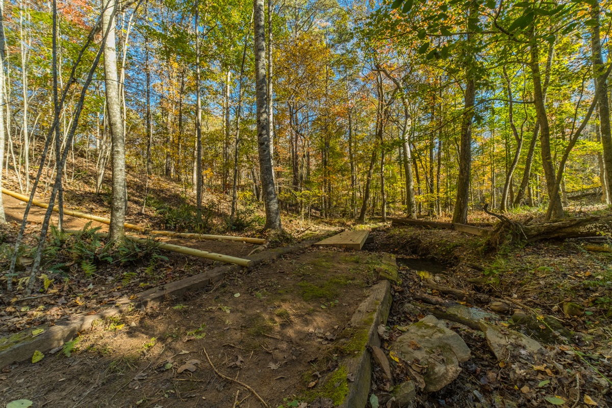 Creek Behind Cabin