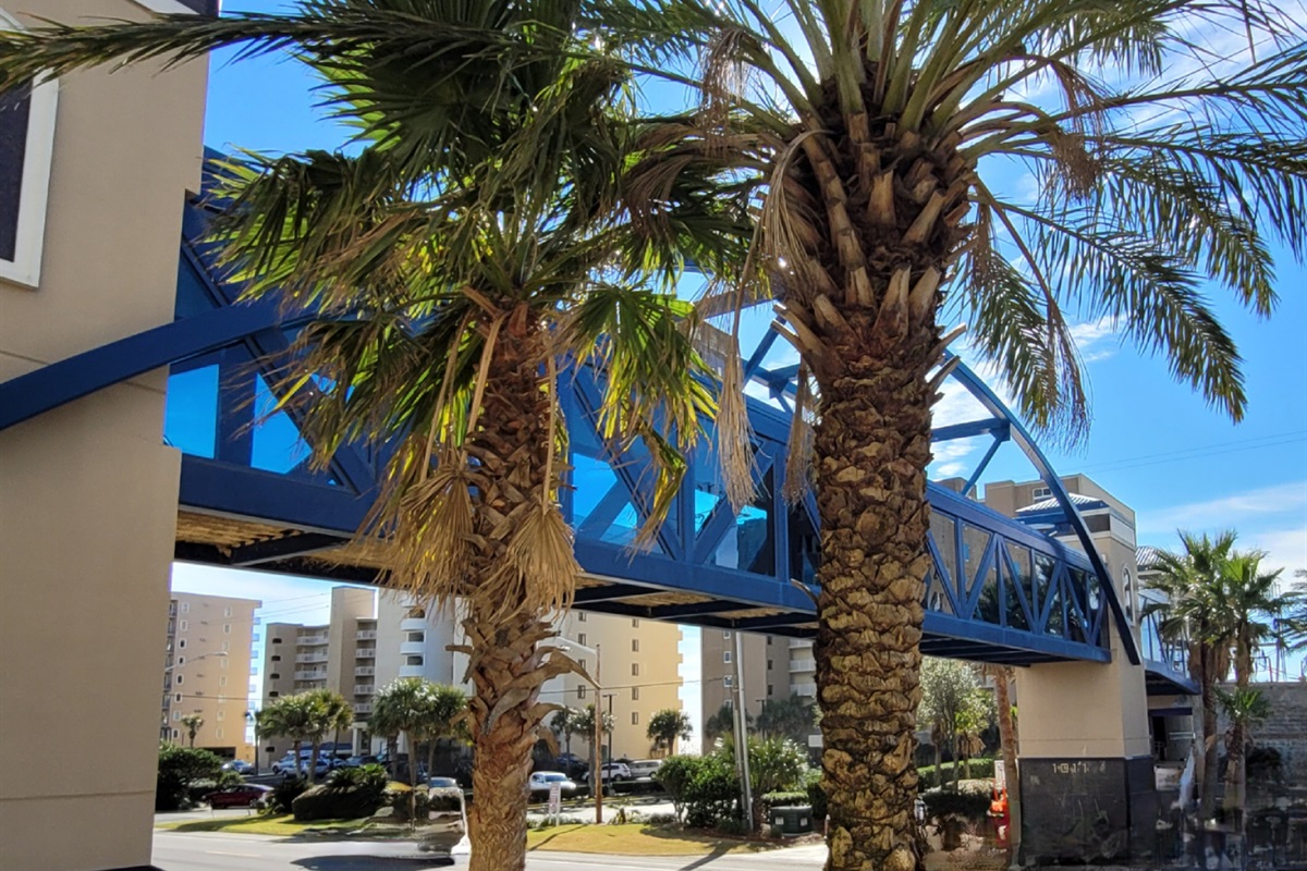 Experience the ultimate in private, air-conditioned convenience at Crystal Tower. This elevated walkway offers a seamless and shaded transition directly to our stunning beachfront outdoor pool, with the sparkling Gulf of Mexico just steps beyond.