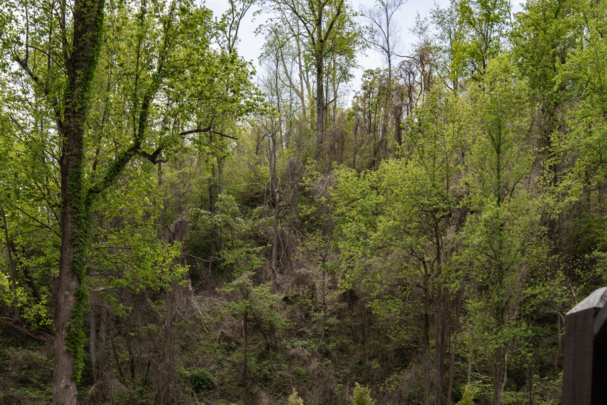 Enjoy a relaxing evening outdoors grilling and telling stories with friends and family.